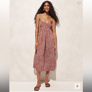 J Crew Empire-Waist Strawberry Dress